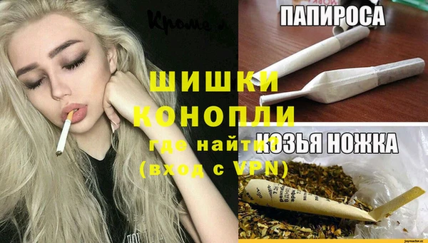 винт Алексин