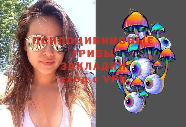 соль курить ск Алзамай