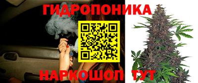 ALPHA PVP Заволжье