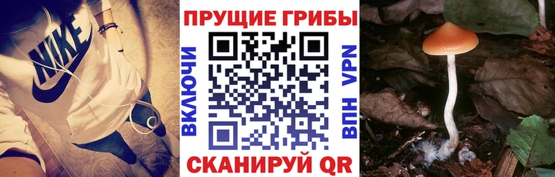 Галлюциногенные грибы MAGIC MUSHROOMS  Лысьва 