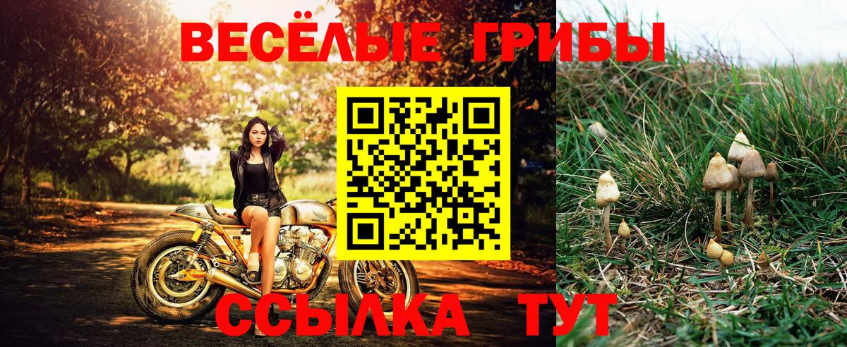 Псилоцибиновые грибы ЛСД Лысьва